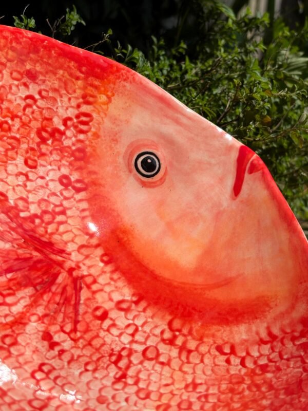 Plat creux poisson rouge